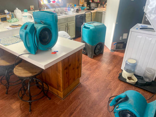 Best Basement water damage restoration  in Indian Rocks Beach, FL