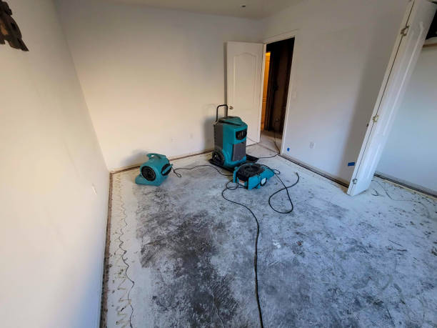 Best Residential water damage restoration  in Indian Rocks Beach, FL