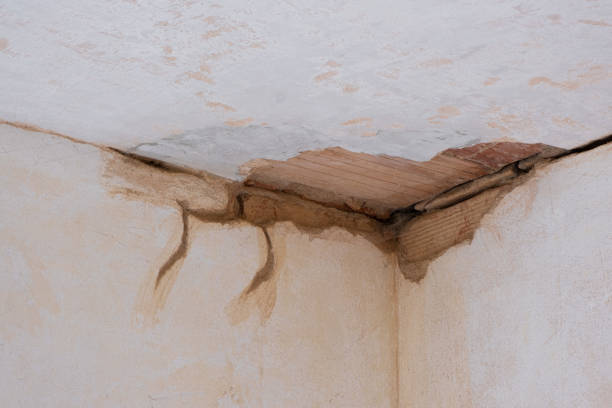 Best Water damage restoration cost  in Indian Rocks Beach, FL