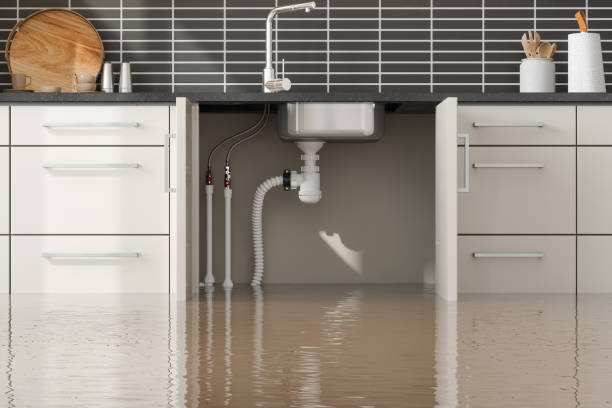 Best Professional water damage repair  in Indian Rocks Beach, FL